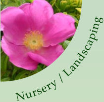 Nursery / Landscaping